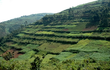 Uganda's Rural Countryside